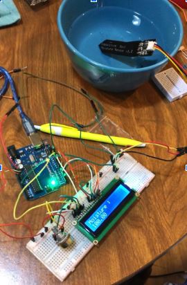 Moisture Sensor Project